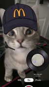 nylthria Altpins Profile Picture