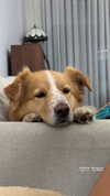 biton__adi Altpins Profile Picture