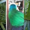 jadelaverne Altpins Profile Picture
