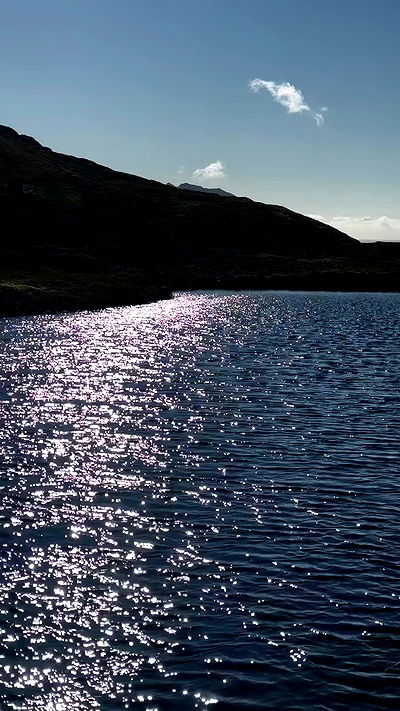 taylor.creeden taylor.creeden archive video