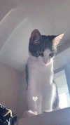 ptpchik Altpins Profile Picture
