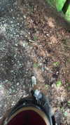 lotembar Altpins Profile Picture