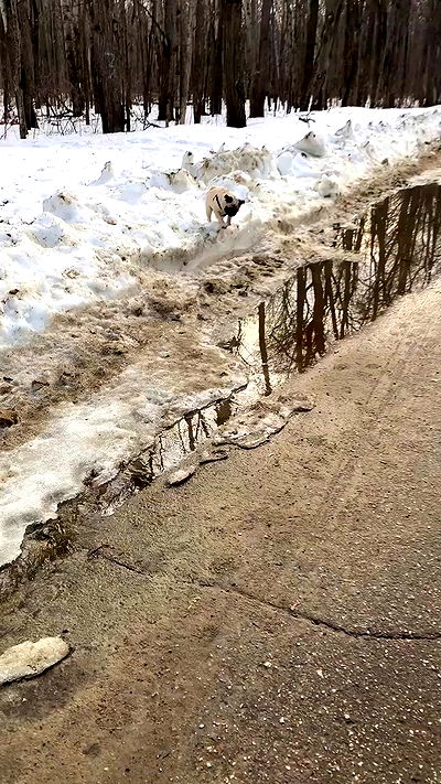 nyityam nyityam archive video