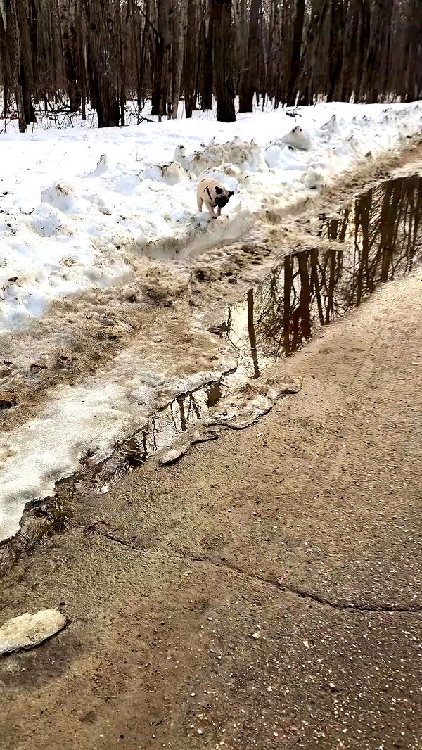 nyityam archive video preview