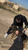 assoolin Altpins Profile Picture