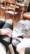 lilih Altpins Profile Picture