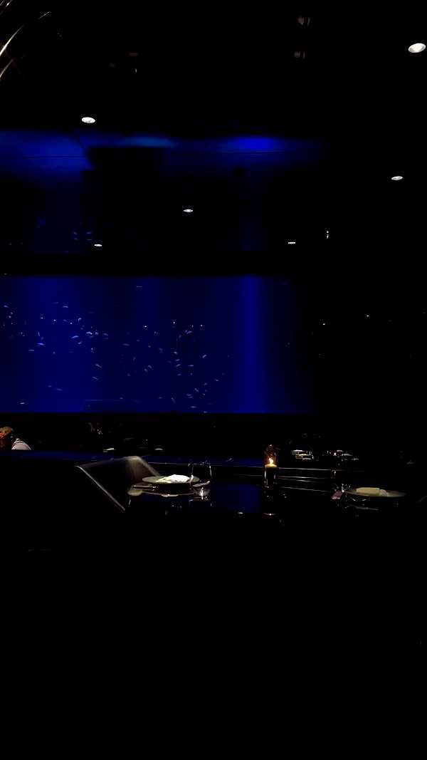 amatveyko archive video preview