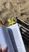 katia_z.k Altpins Profile Picture