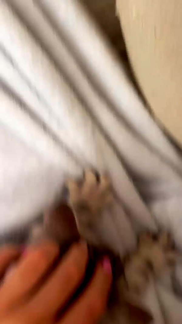 enikeeva_aliya archive video preview