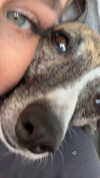 lilih Altpins Profile Picture