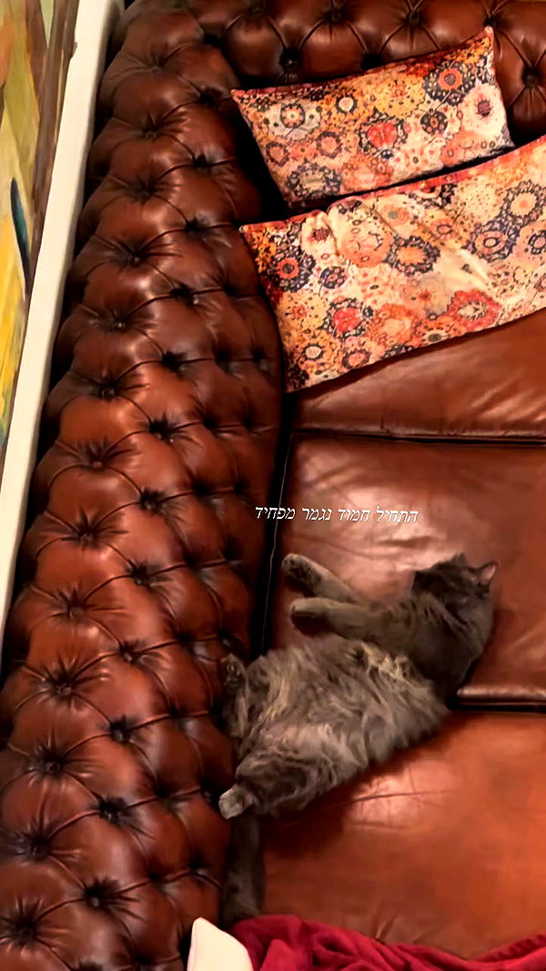 libby_reut archive video preview