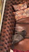libby_reut Altpins Profile Picture