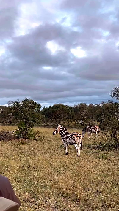 taylor.creeden taylor.creeden archive video