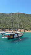 1vecua Altpins Profile Picture