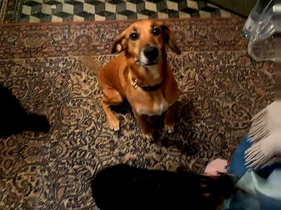 manjolamuriqi manjolamuriqi archive video