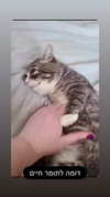 moonliliaght Altpins Profile Picture