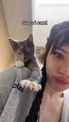 luvstuff3r Altpins Profile Picture