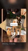 alma.almog Altpins Profile Picture