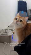 itsilanosh Altpins Profile Picture