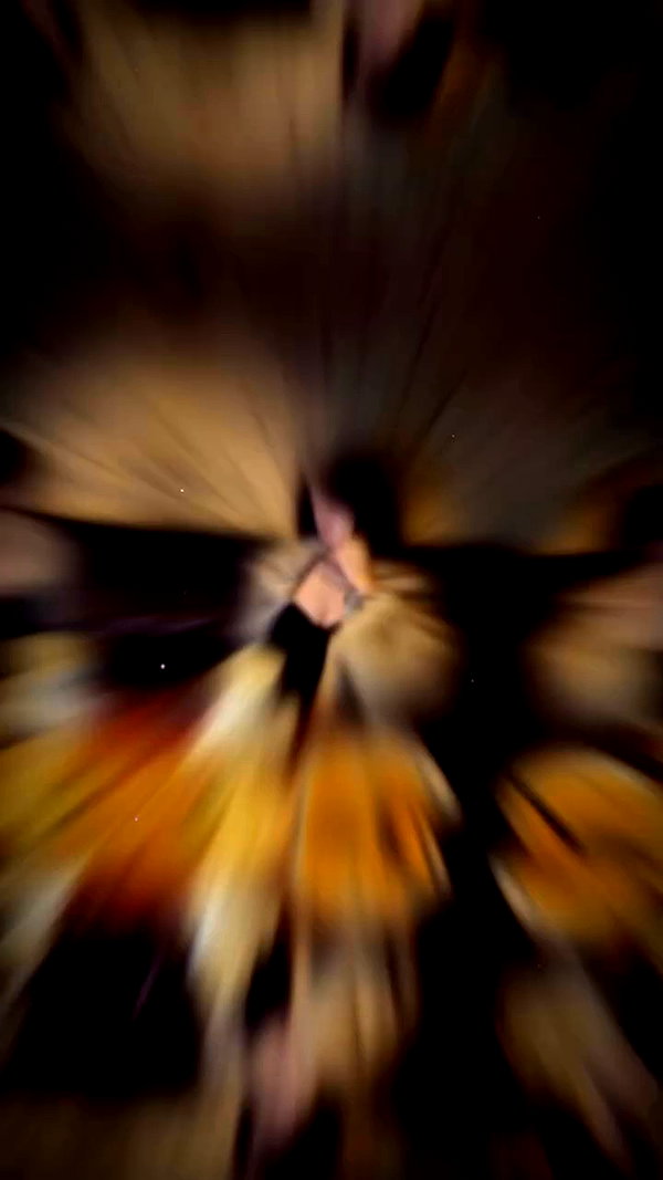 thyenn___ archive video preview