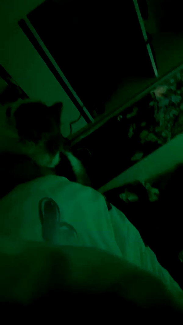 eitan.420 archive video preview