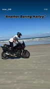 brian__636 Altpins Profile Picture