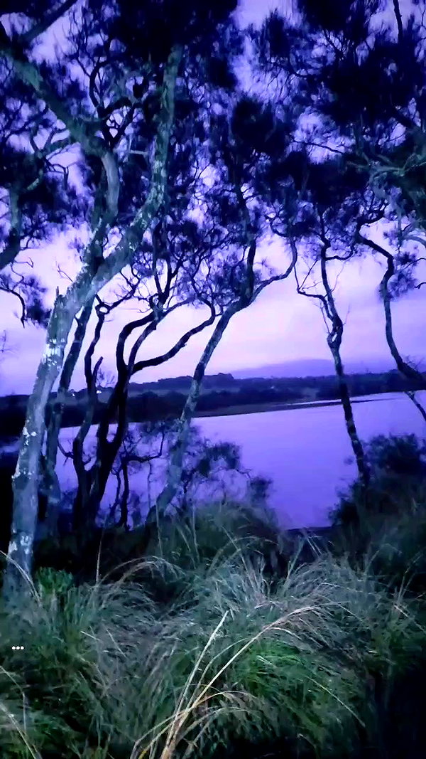 ayliehayward archive video preview
