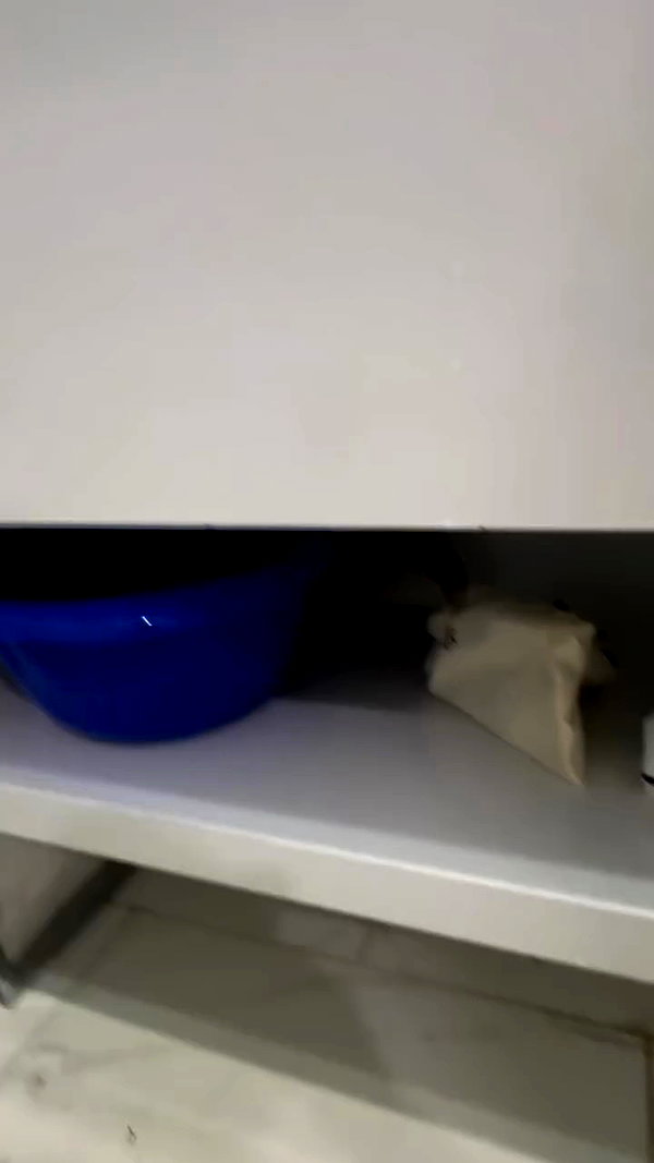 chris_fucking_wild archive video preview