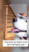 emily_new2 Altpins Profile Picture
