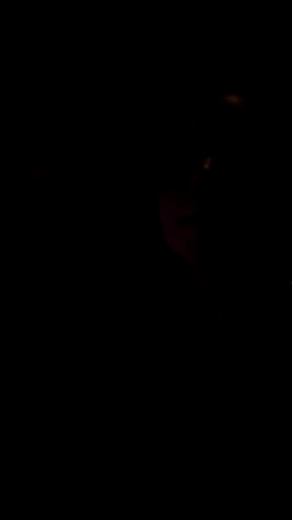 _allvi.pansk archive video preview
