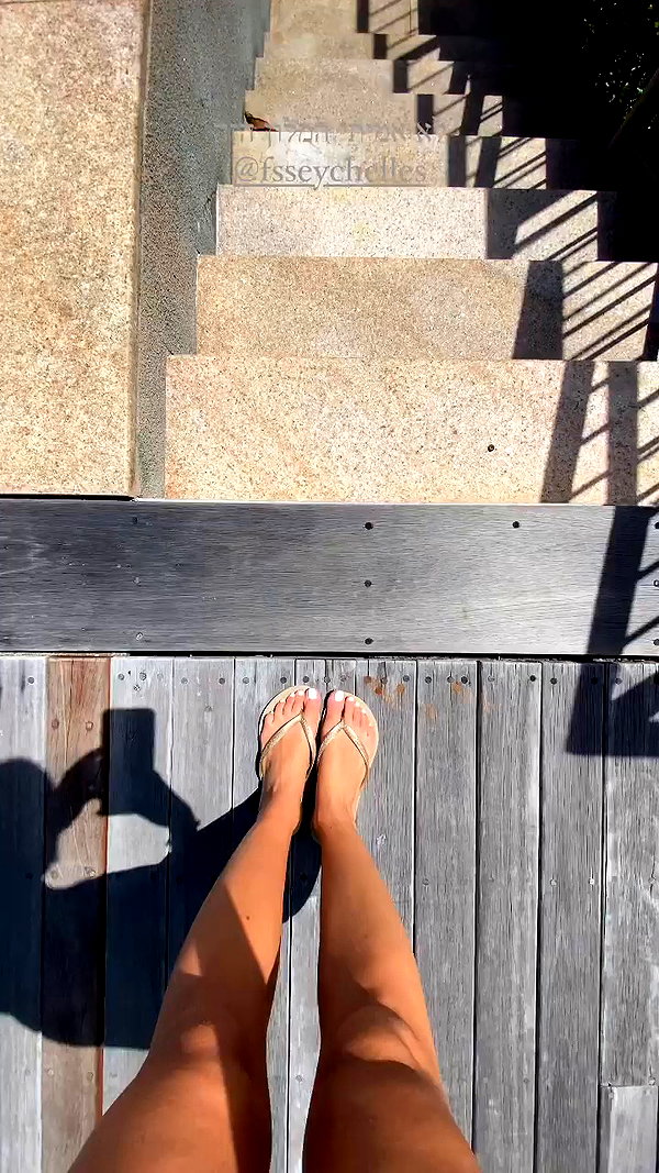 barzomer archive video preview