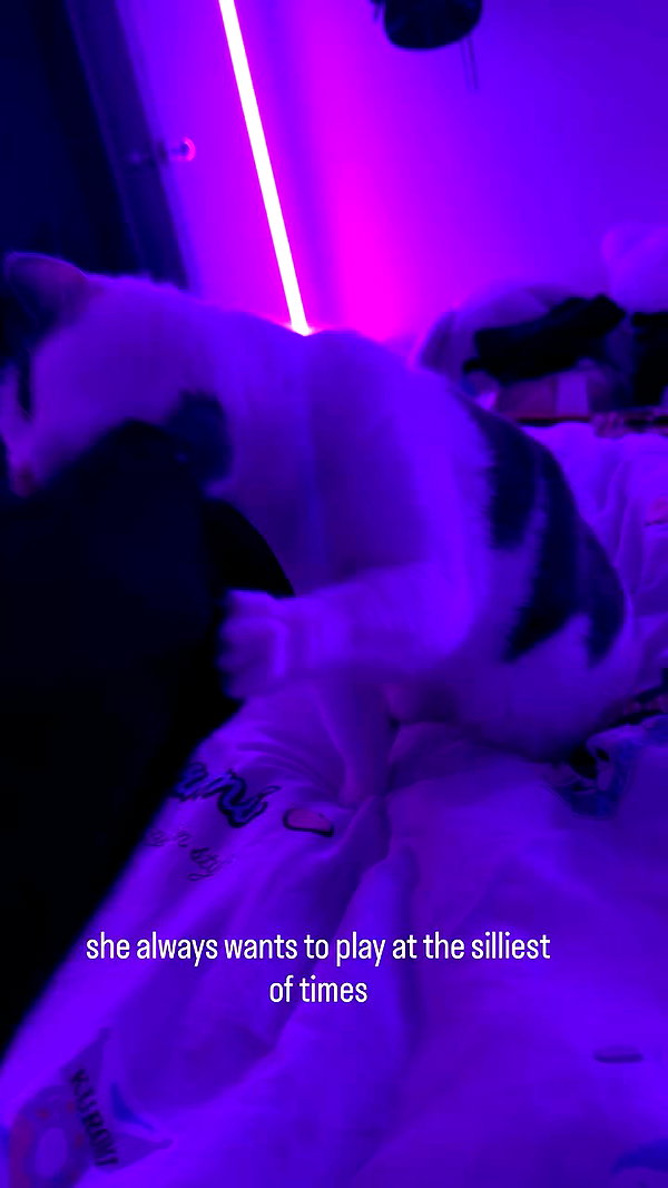 livindeadyaz archive video preview