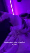 livindeadyaz Altpins Profile Picture