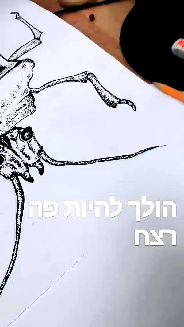 lior_levrun archive video preview
