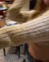rouxroux.tv Altpins Profile Picture