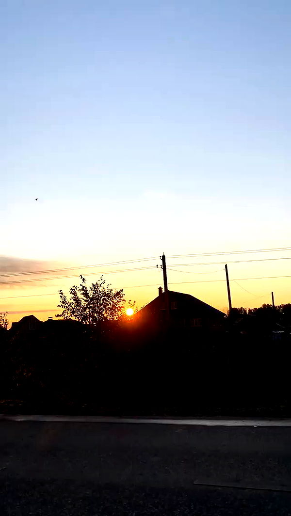 nyityam archive video preview