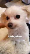 elizabethcampbelljones Altpins Profile Picture