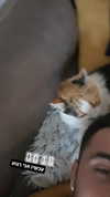 eitan.420 Altpins Profile Picture
