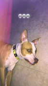 _mashachka_ Altpins Profile Picture