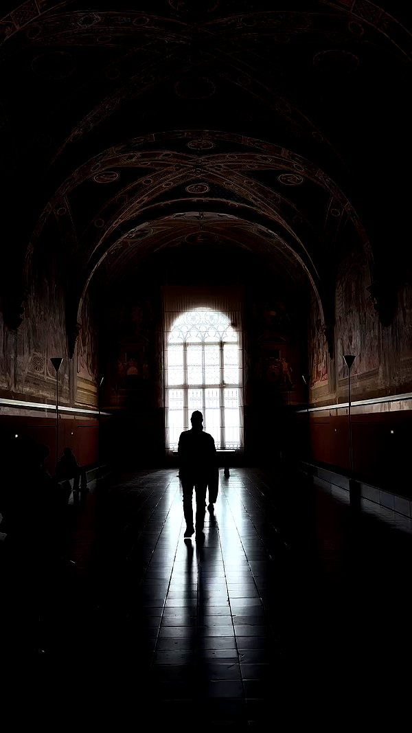 _.shelichka._ archive video preview