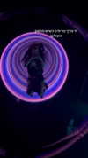 _wayw4rd_ Altpins Profile Picture