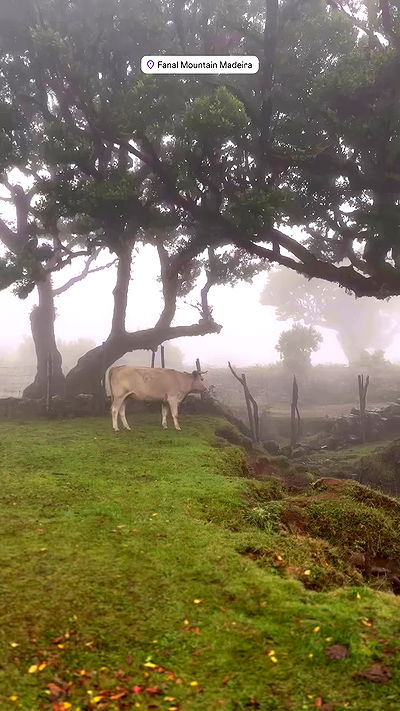 taylor.creeden taylor.creeden archive video