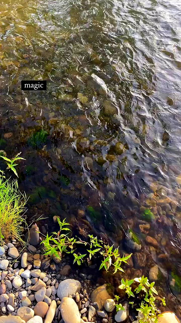 aleiisha.piixiie archive video preview