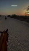 seline_paz Altpins Profile Picture