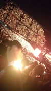 maii.ferreiraa Altpins Profile Picture