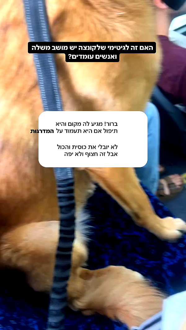 yuval_raz archive video preview