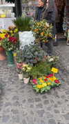 ruth_chavarri Altpins Profile Picture