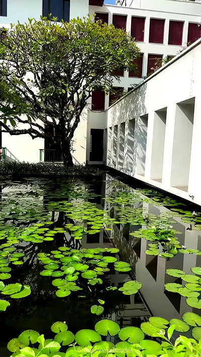 taylor.creeden taylor.creeden archive video