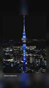 gomedia_nz Altpins Profile Picture