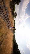 protheme Altpins Profile Picture